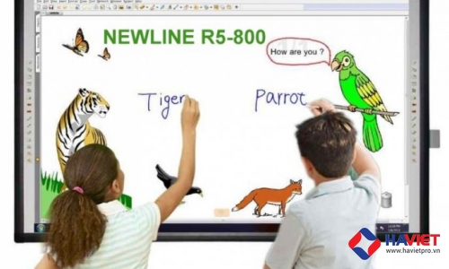 Bảng điện tử thông minh NewLine R5 800