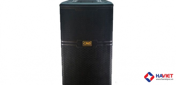 Loa Karaoke CAVS CS301E 0