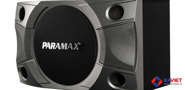Loa karaoke Paramax P800 0