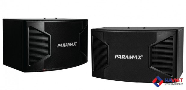 Loa karaoke Paramax P2500 0